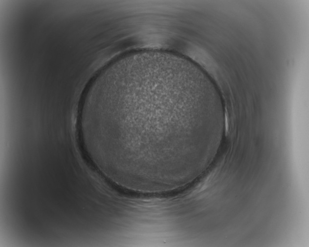 X0000089690483200707051627