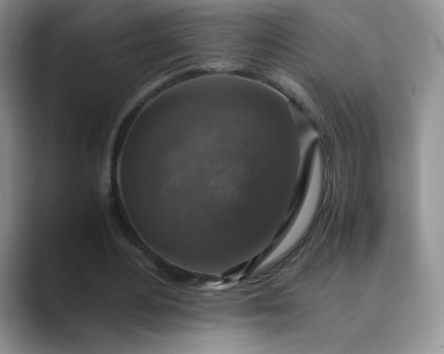 X0000089690484200707051627