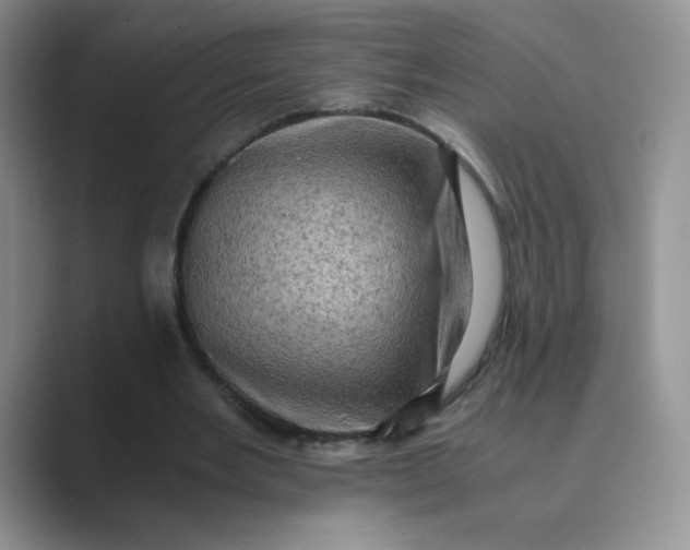 X0000089690485200707051627