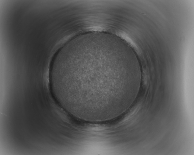 X0000089690486200707051627