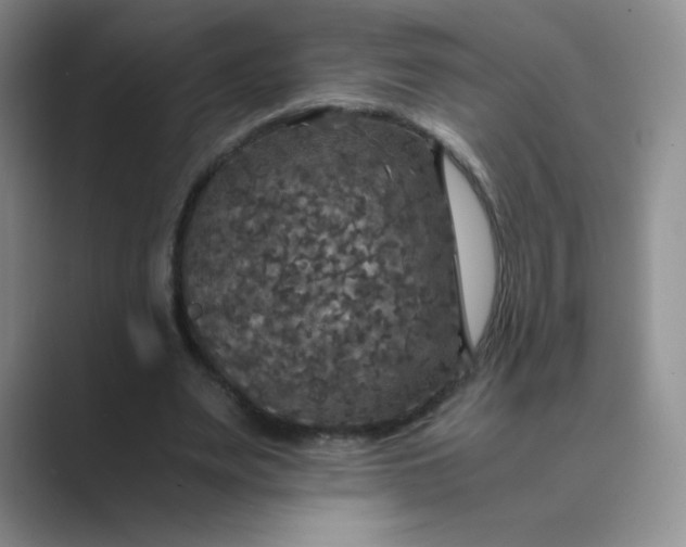 X0000089690487200707051627