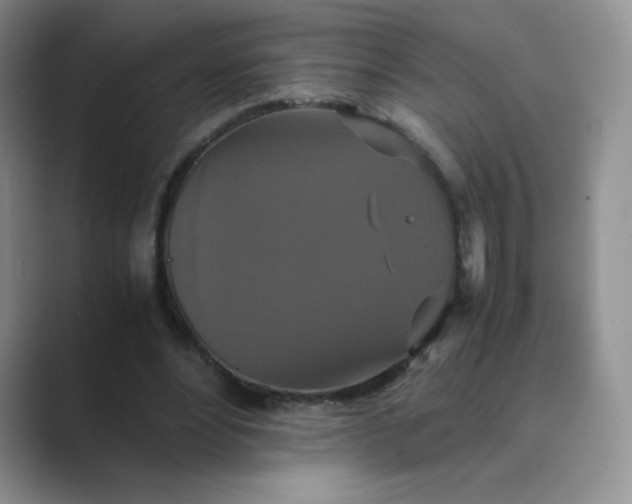 X0000089690488200707051627