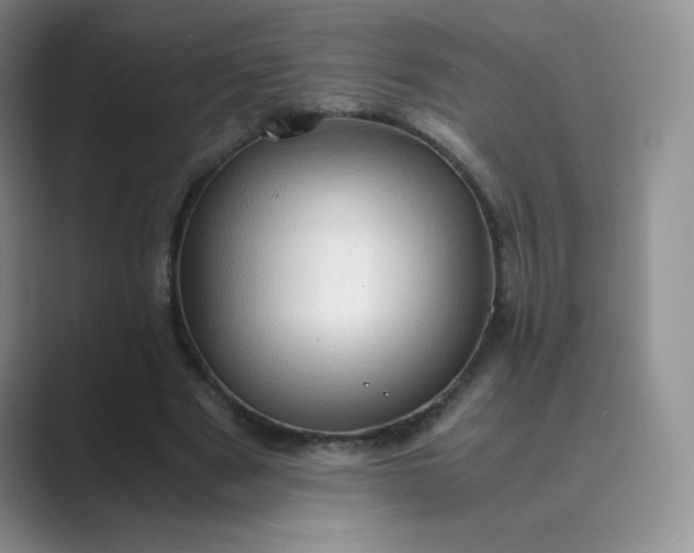 X0000089690489200707051627