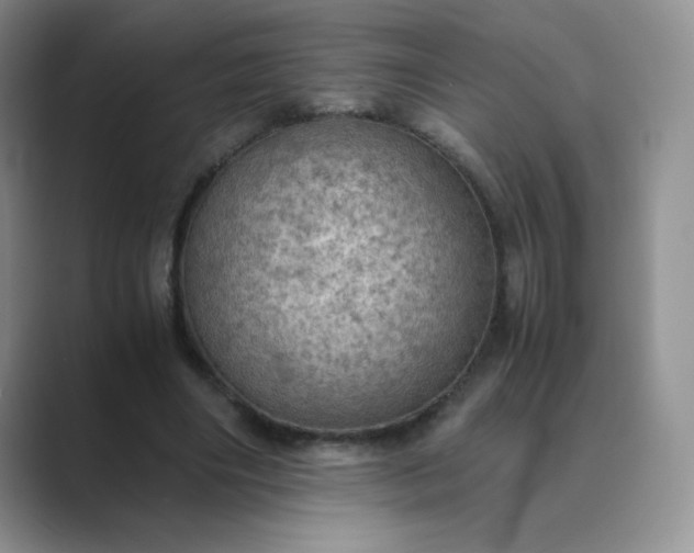 X0000089690490200707051627