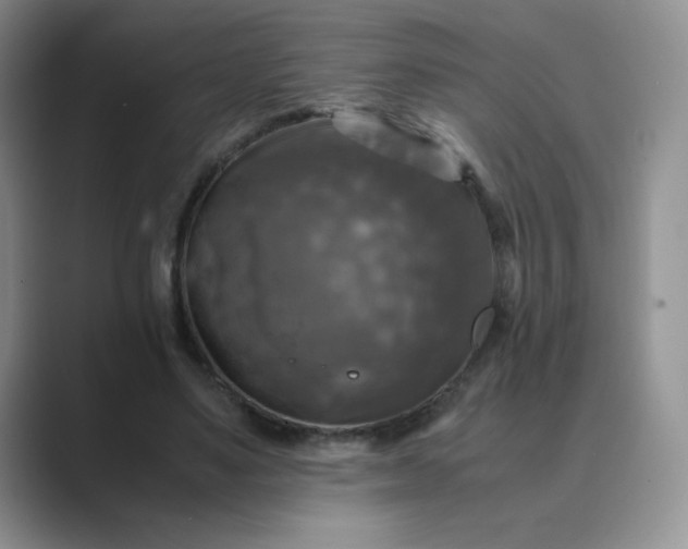 X0000089690491200707051627