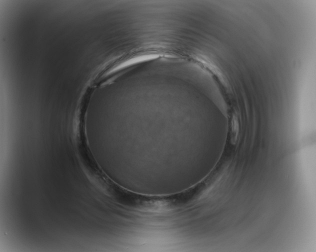 X0000089690492200707051627