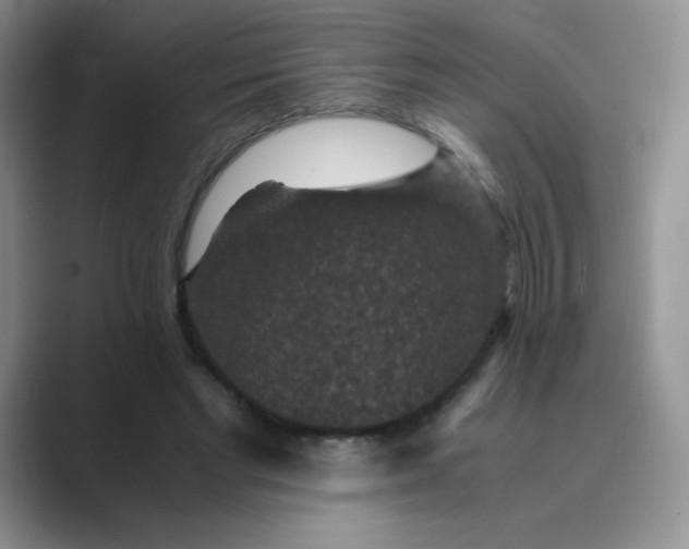 X0000089690493200707051627