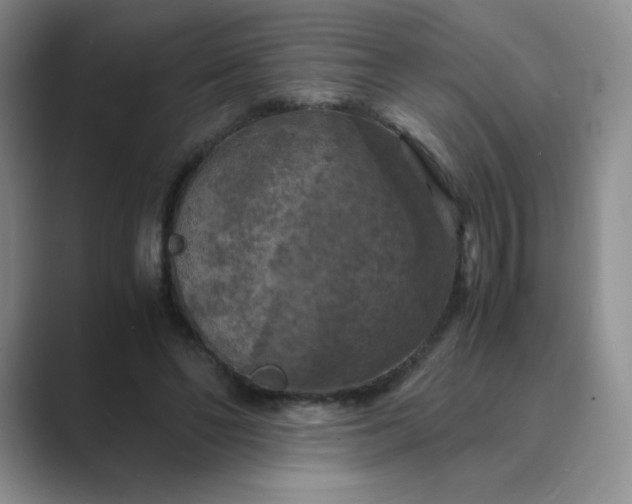 X0000089690494200707051627