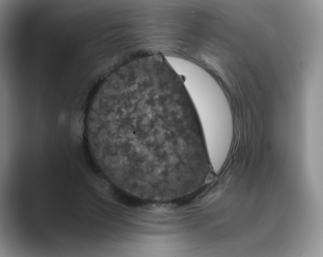 X0000089690495200707051627