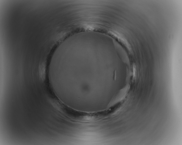 X0000089690496200707051627