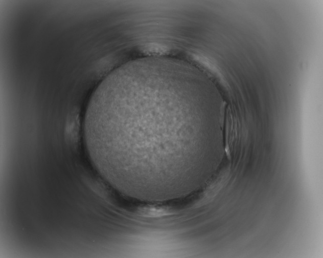 X0000089690498200707051627