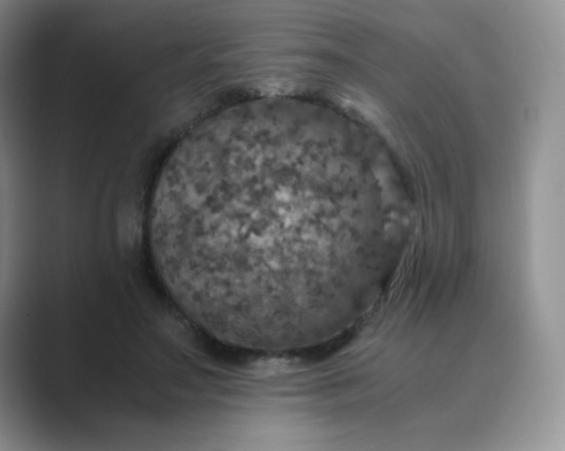 X0000089690499200707051627