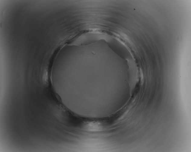 X0000089690500200707051627