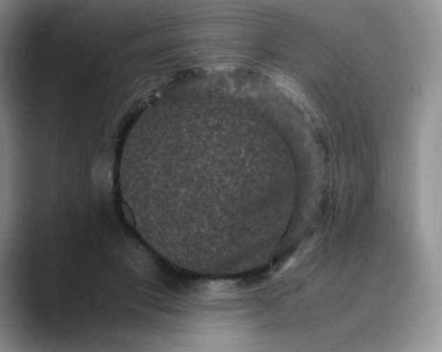 X0000089690501200707051627