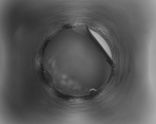 X0000089690503200707051627