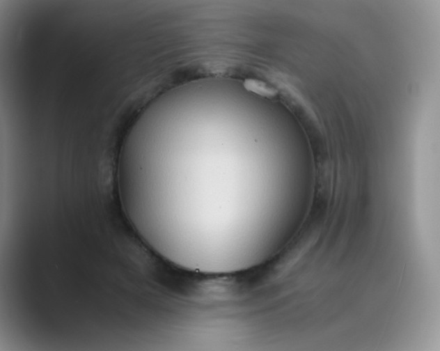 X0000089690505200707051627