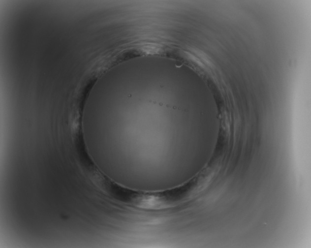 X0000089690507200707051627