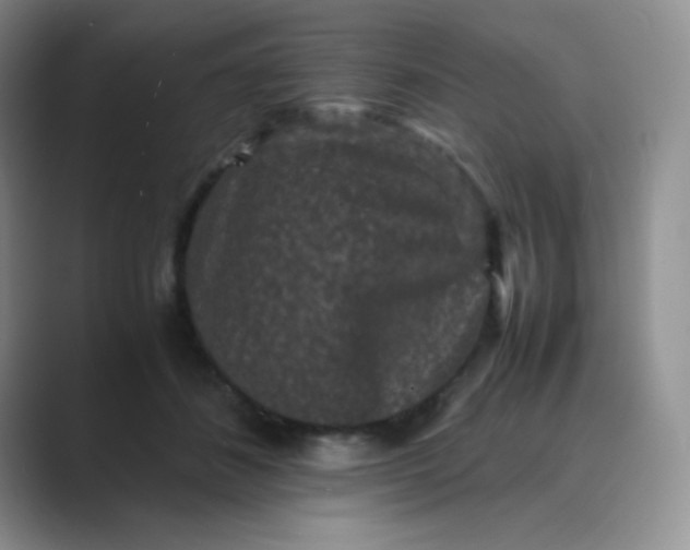 X0000089690508200707051627