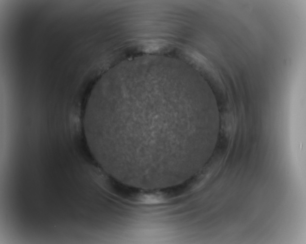 X0000089690510200707051627