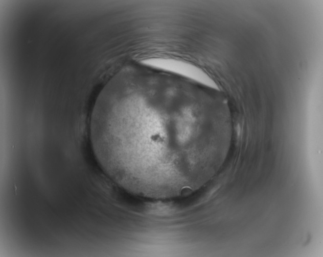 X0000089690511200707051627