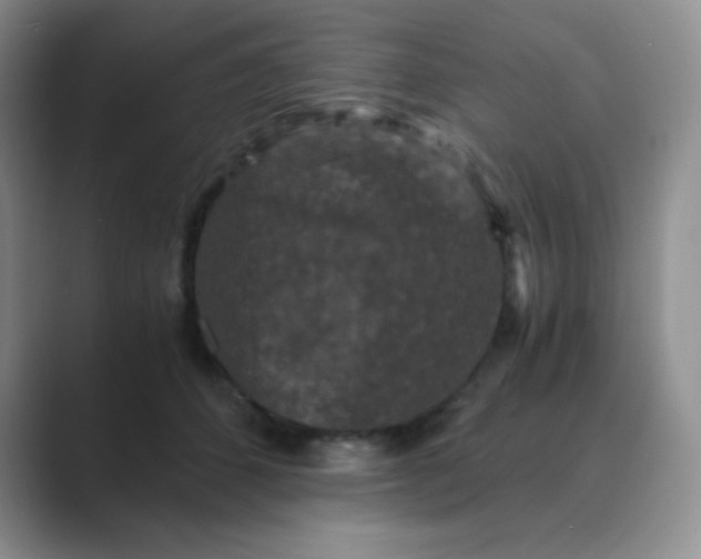 X0000089690512200707051627