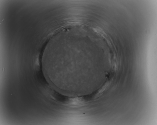 X0000089690516200707051627