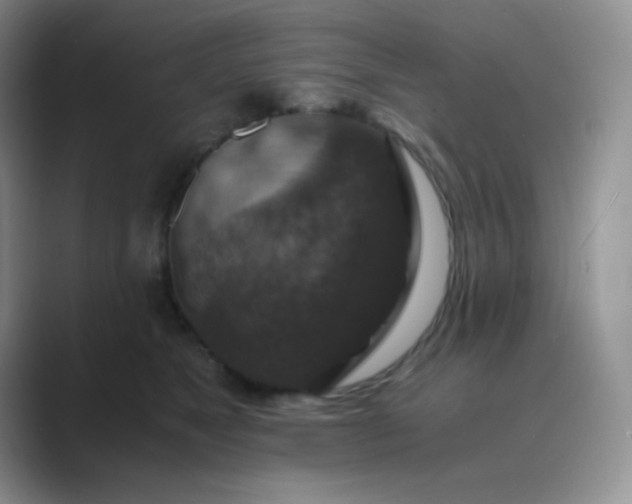 X0000089690517200707051627