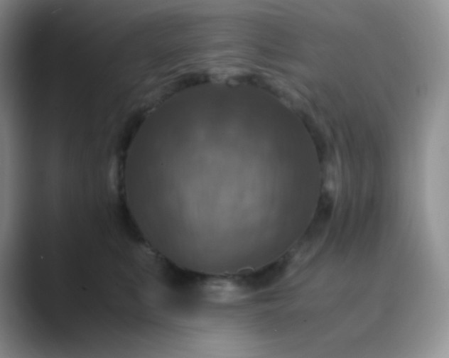 X0000089690519200707051627