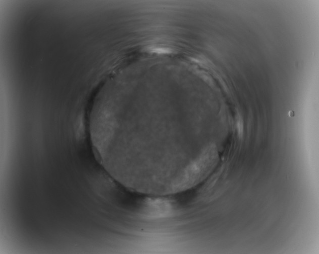 X0000089690520200707051627