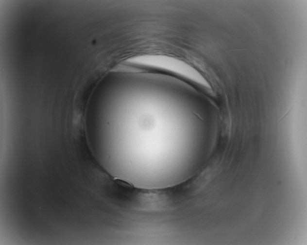 X0000089690521200707051627