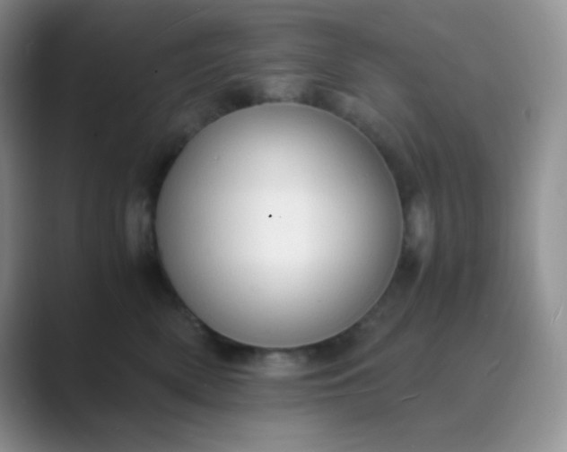 X0000089690522200707051627