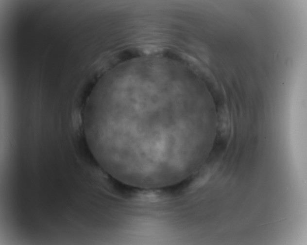 X0000089690523200707051627