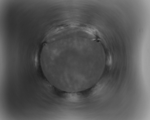 X0000089690524200707051627