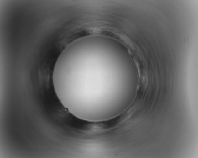 X0000089690525200707051627