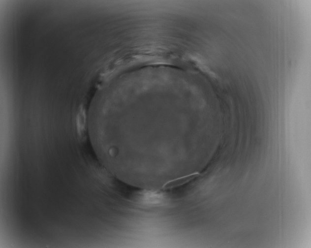 X0000089690528200707051627