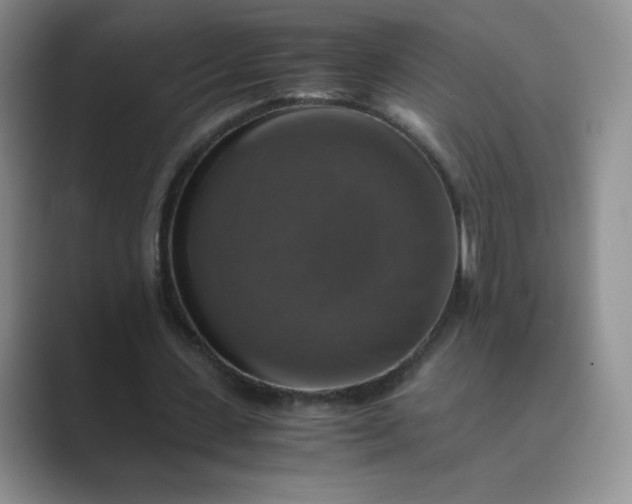 X0000089690531200707051626