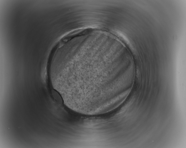 X0000089690532200707051626