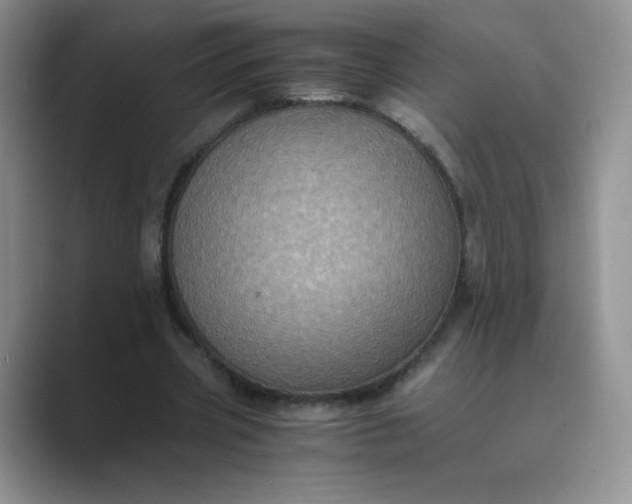 X0000089690533200707051626