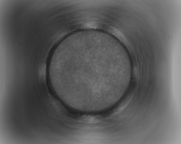 X0000089690534200707051626