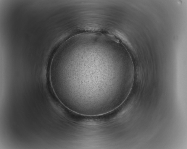 X0000089690538200707051626