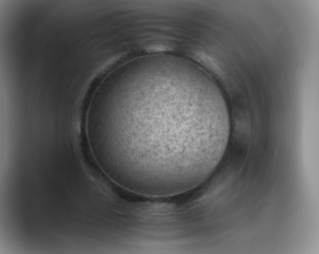 X0000089690539200707051626