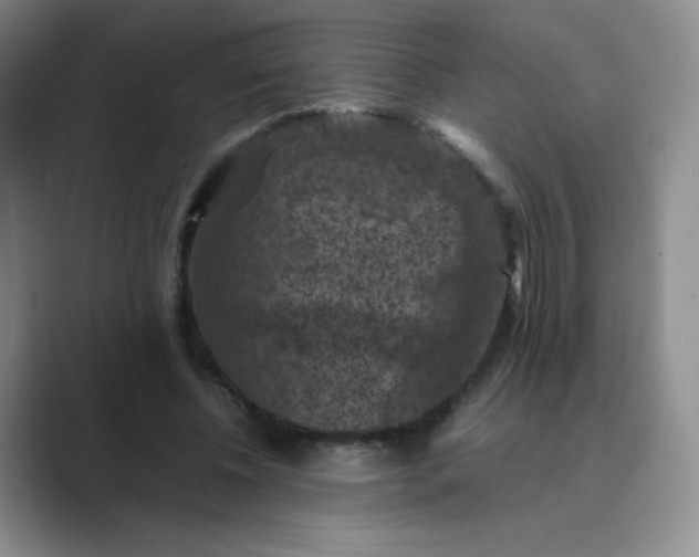 X0000089690540200707051626