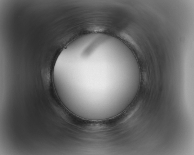 X0000089690541200707051626