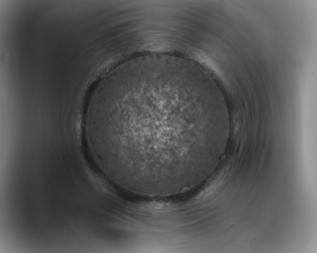 X0000089690542200707051626