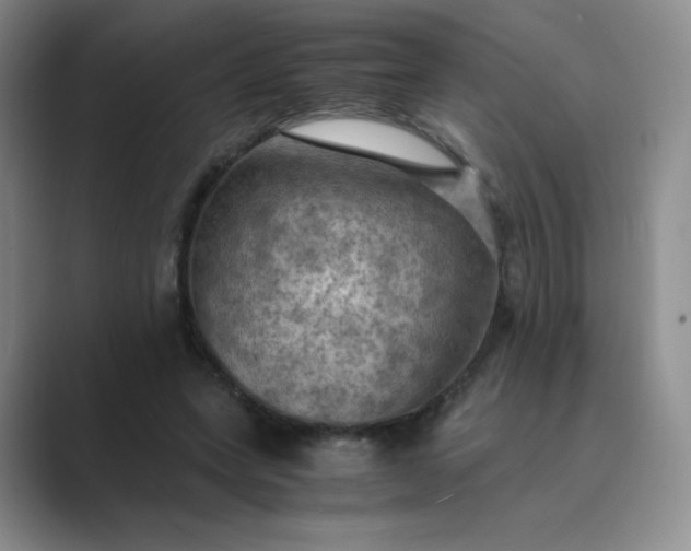 X0000089690543200707051626