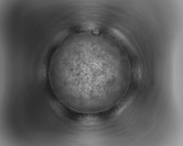 X0000089690546200707051626