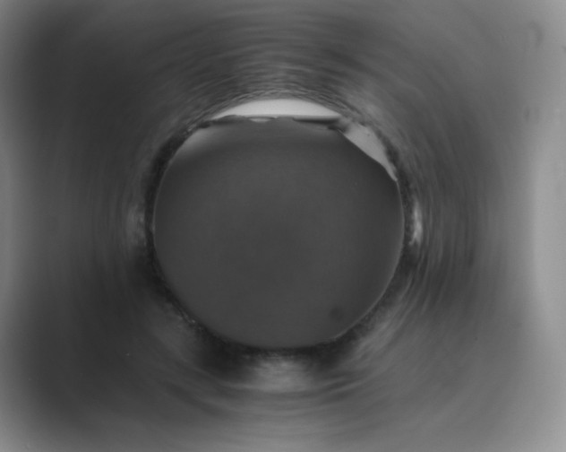 X0000089690547200707051626