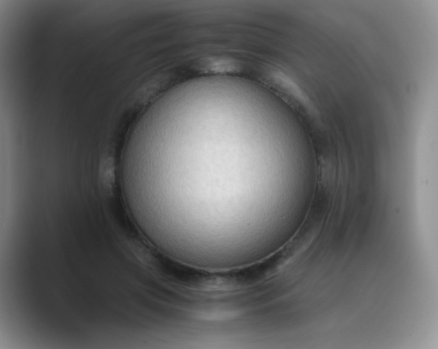 X0000089690549200707051626