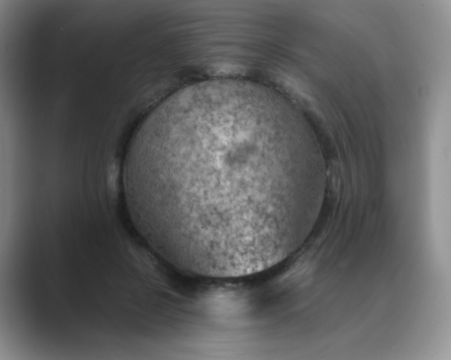 X0000089690550200707051626