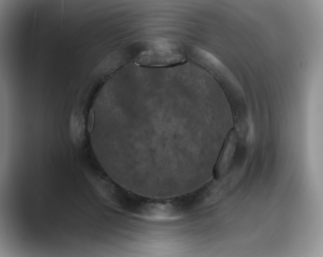 X0000089690552200707051627